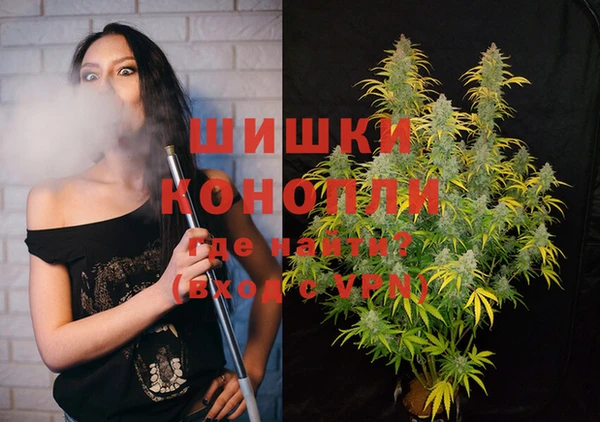 PSILOCYBIN Ессентукская