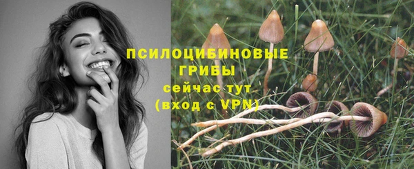 PSILOCYBIN Ессентукская