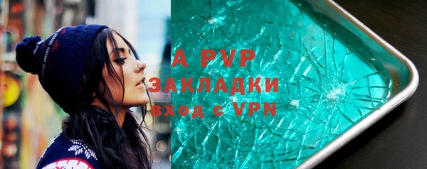 PSILOCYBIN Ессентукская