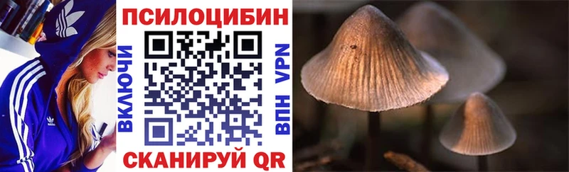 KRAKEN сайт  где продают наркотики  нарко площадка формула  Галлюциногенные грибы GOLDEN TEACHER  Севастополь 