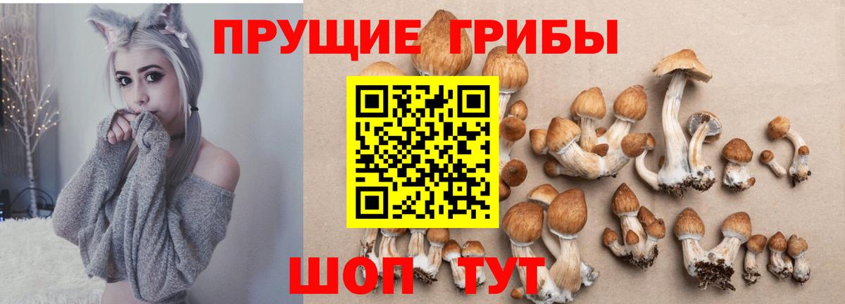 A-PVP Россия